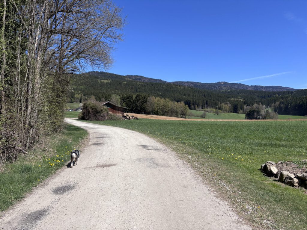 Wegbier-Route im Zellertal