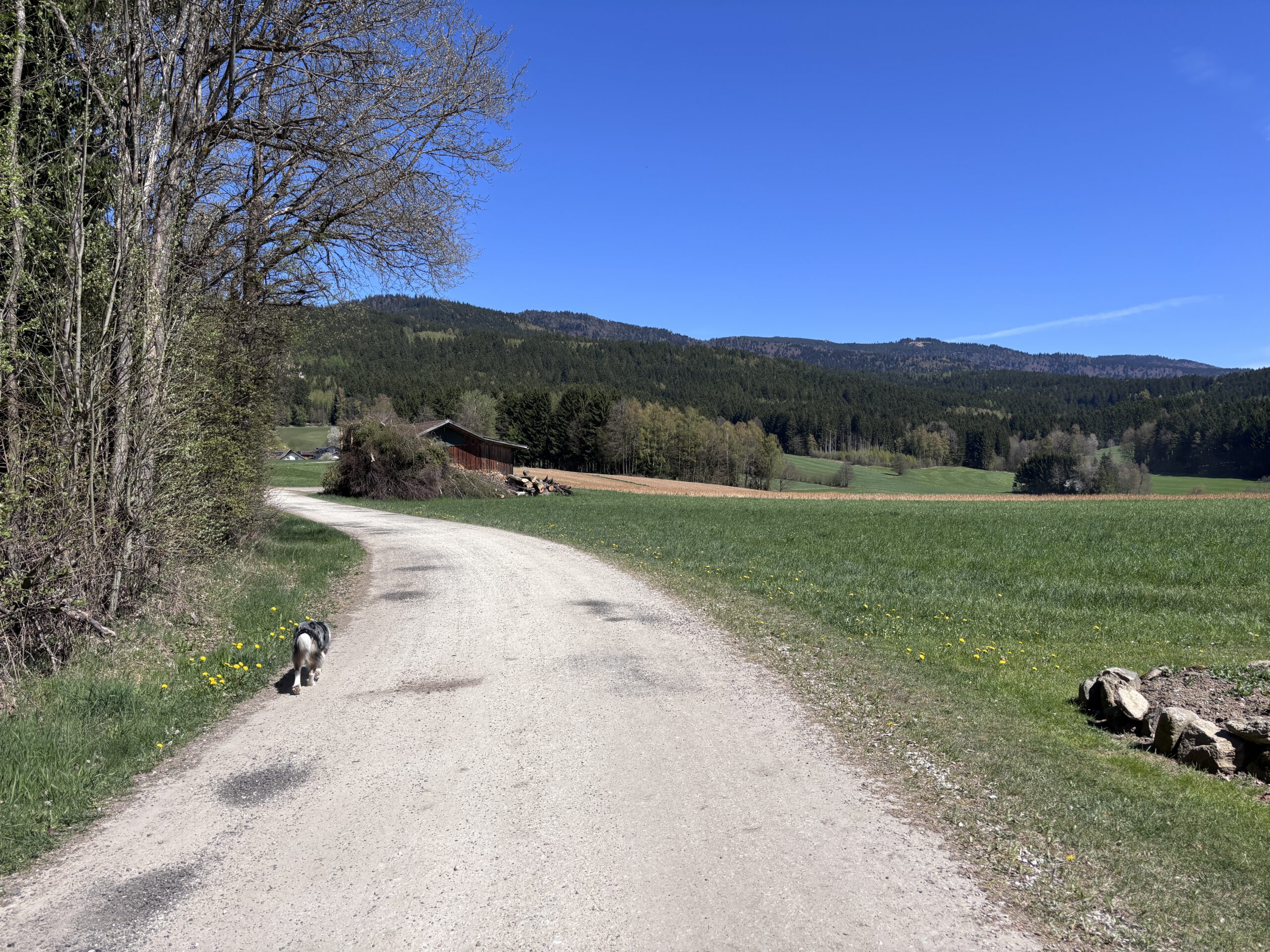 Zellertal